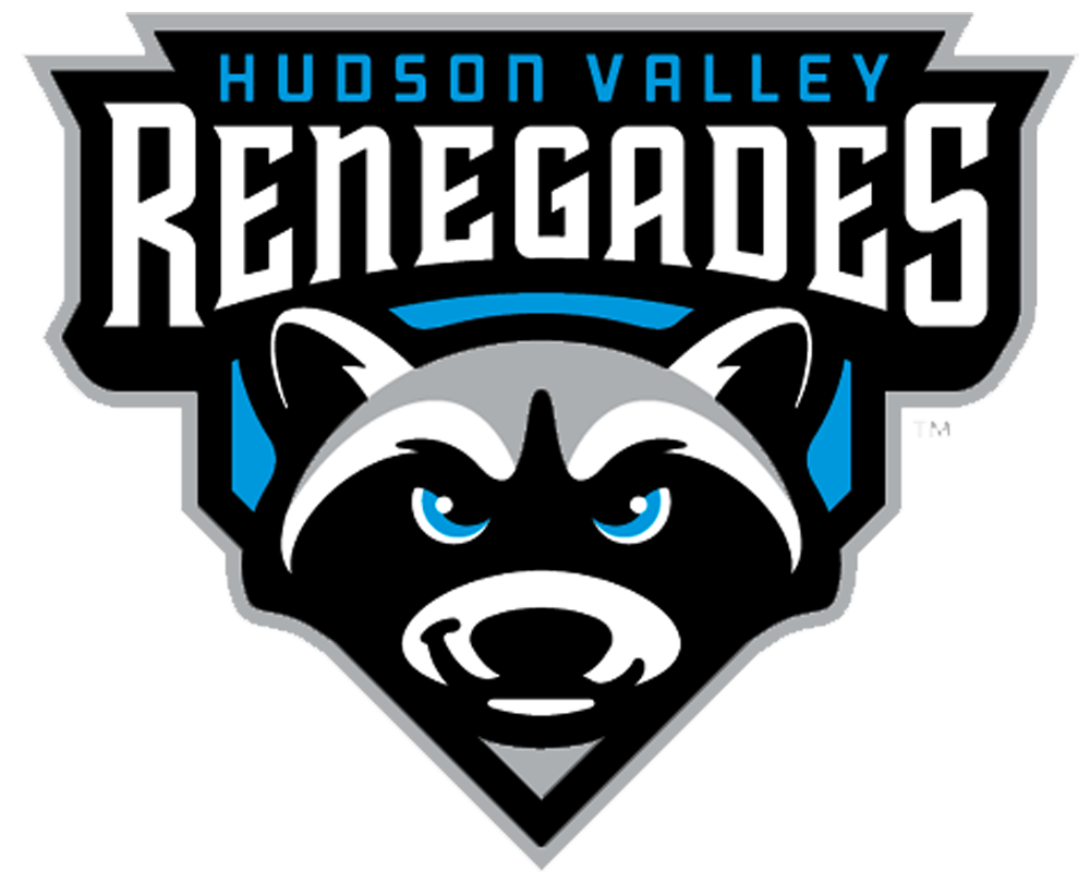 Hudson Valley Renegades 2018-2020 Primary Logo iron on heat transfer